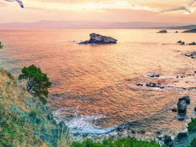 Examples of AI-generated images in different artistic and realistic styles.